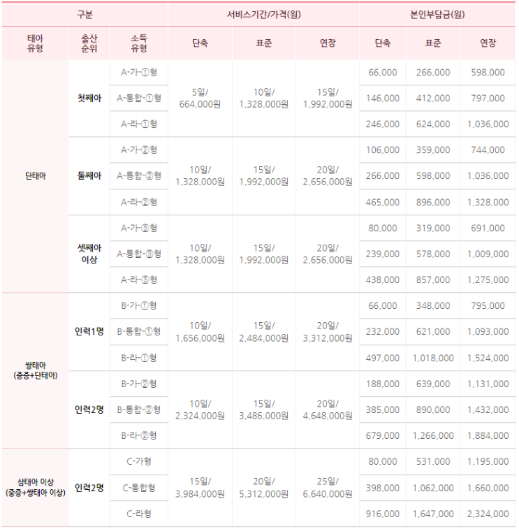정부 지원 산후도우미 서비스