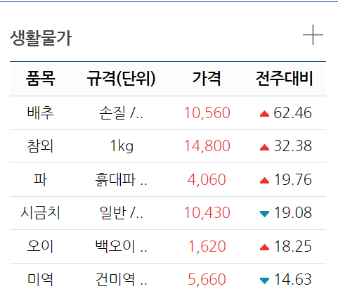  금배추~배추값!채소값!폭등