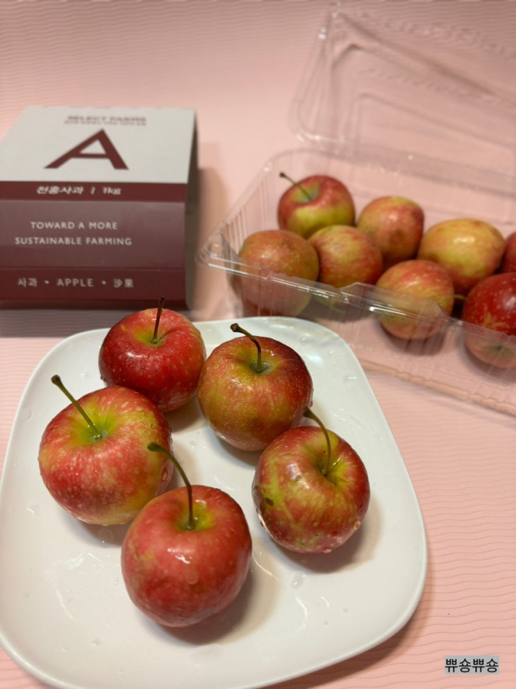  과일도감 미니사과 루비에스  천홍 고당도 꿀 사과 1kg(팩)
