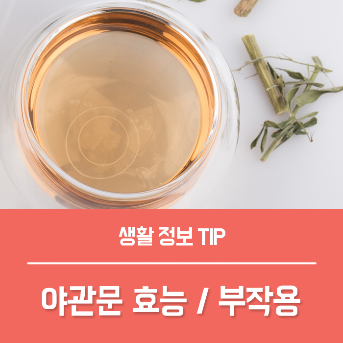  야관문의 효능 부작용, 비수리 야관문 꽃 특징 야관문차 야관문주 만드는 방법은?
