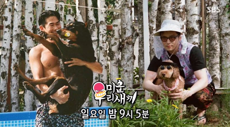 미우새 배정남 변요한 벨 복자 춘천 애견 펜션 촬영 장소 어디? 견종 나이 미운우리새끼 412회....