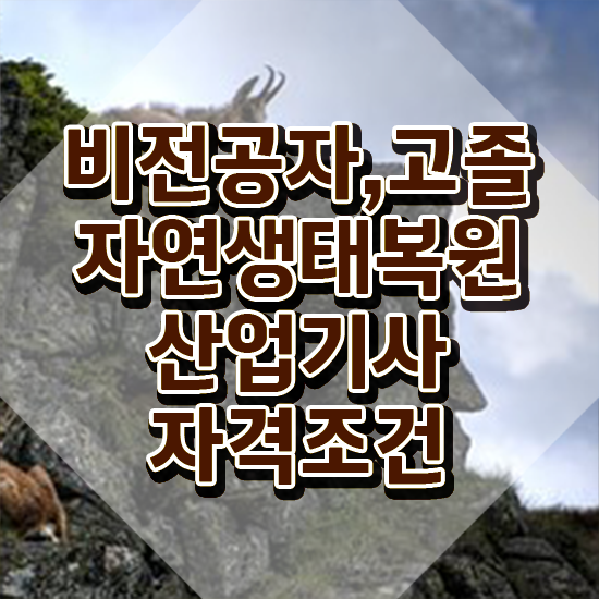  자연생태복원산업기사 시험응시조건 집에서 온라인으로 쉽고 빠르게 끝낸 노하우
