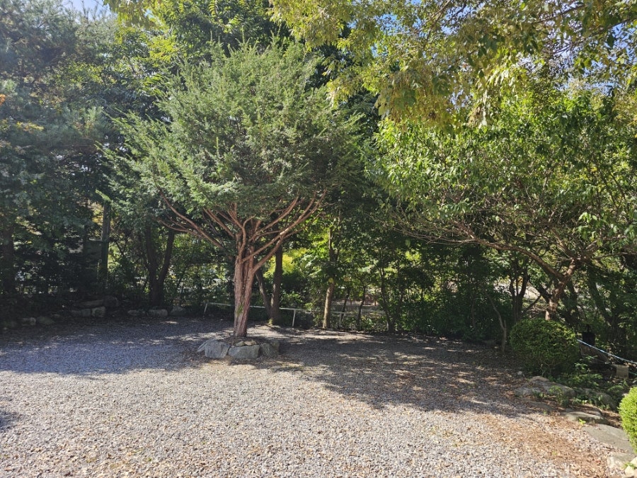 리스캐빈캠핑장 사진 2