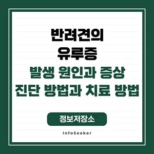 반려견의 유루증 발생 원인과 영향, 진단 방법과 관리 방법