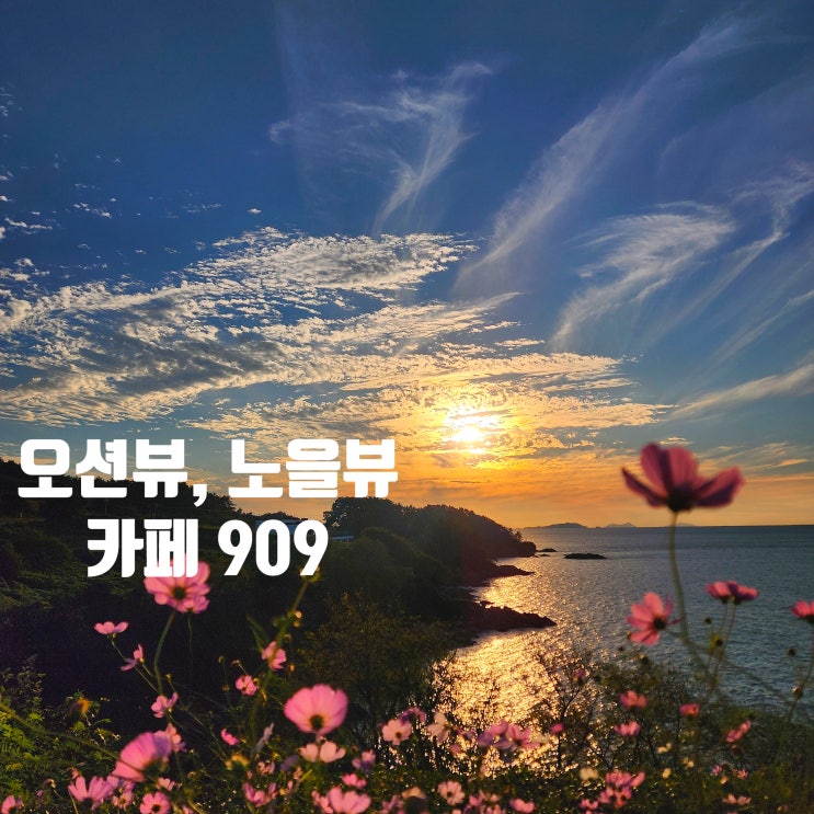  〔전북부안〕부안 변산 오션뷰 카페 909-노을뷰 카페 909 -코스모스와 바다가 멋진 곳-가을에 방문하기 좋은 곳