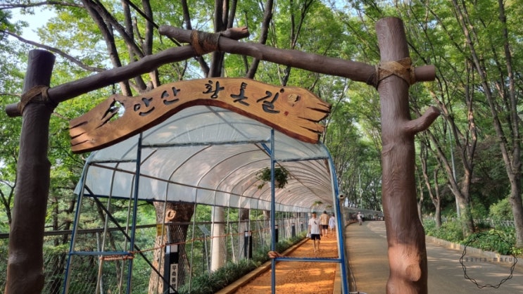  서울 황토 맨발걷기 명소! 서대문 안산 황톳길 후기!