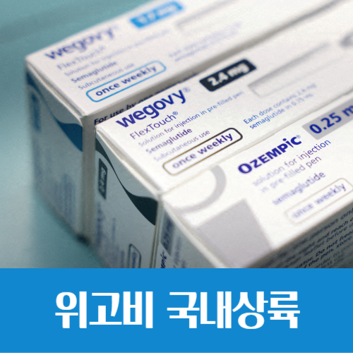  비만치료제 '위고비' 국내 출시, 대장주 및 투자 방법은?