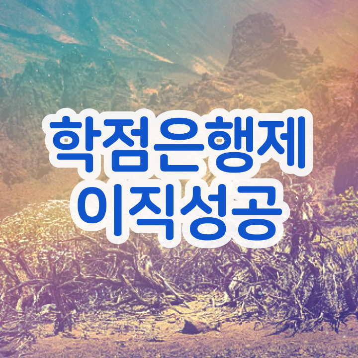  학점은행제 전적대 학점 경단녀를 위해 과정을 확실하게 챙겨주는 학점은행제 플래너 알아보고 가세요