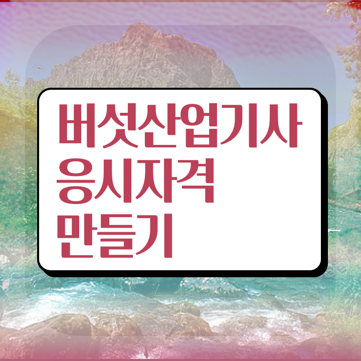  버섯산업기사 학점은행제 후기 버섯산업기사 취득자격 온라인 수업으로 편하게 성공한 팁