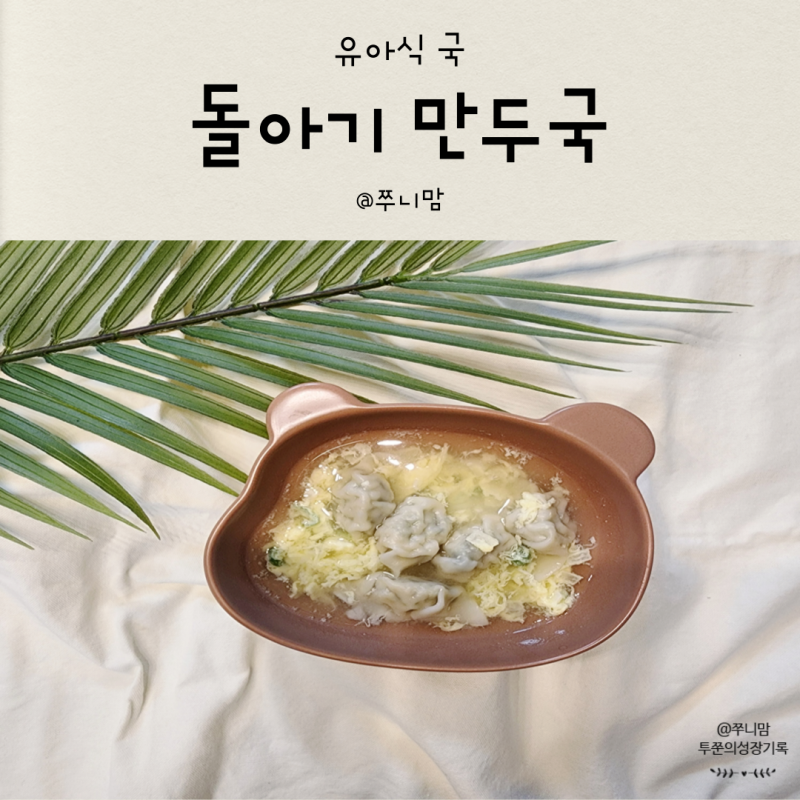 돌아기 만두국 유아식 국 종류