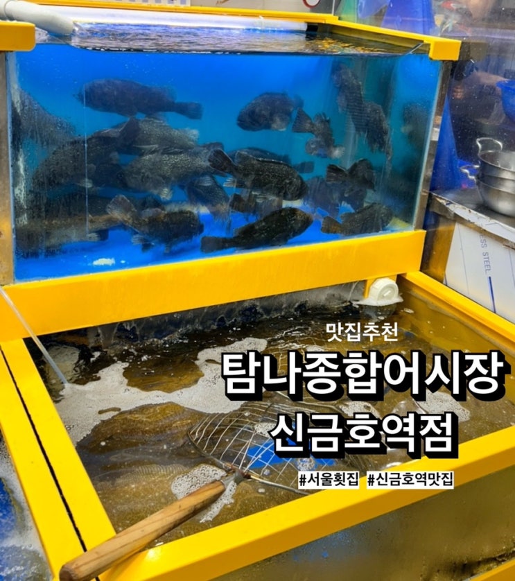  신금호 맛집으로 탐나종합어시장 신금호역점 추천