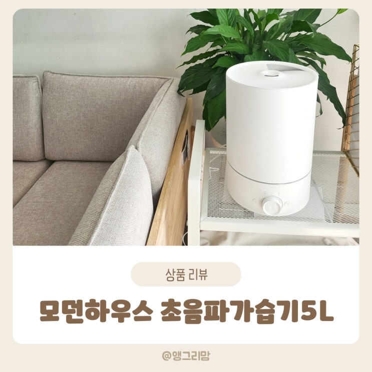  모던하우스 초음파 가습기 내돈내산 추천 아이템