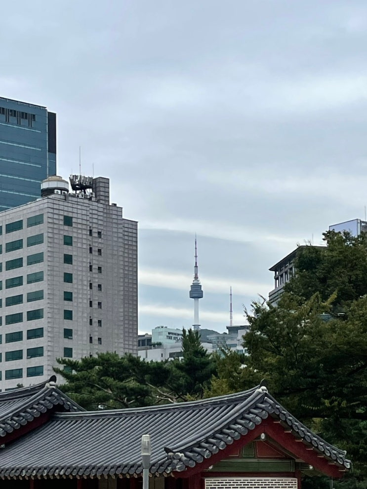  24.10 일상(1) 근거 없이 낙관할 거야 하염없이 행복할 거야