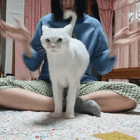 할 줄 아는건, 귀엽습니다.