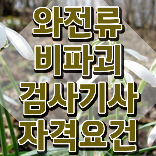  와전류비파괴검사기사 응시자격확인 와전류비파괴검사기사 응시자격 집에서 온라인으로 편하게 완료한 노하우