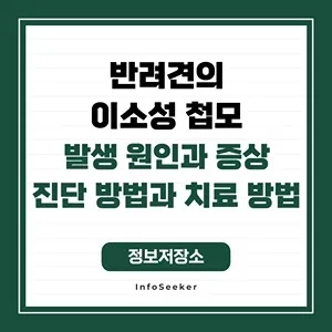  반려견의 이소성 첩모 발생 원인과 영향, 진단 방법과 관리 방법