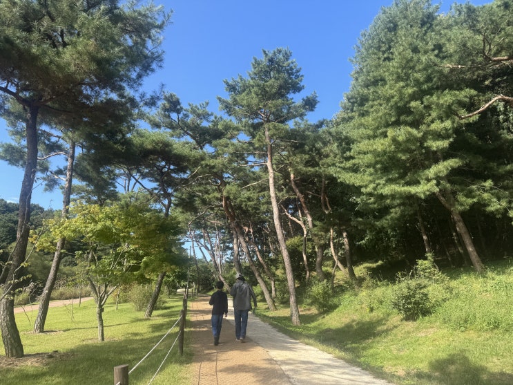  여주 세종대왕릉, 한글날에 가보면 더 특별한 이유 ️