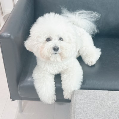사진 8