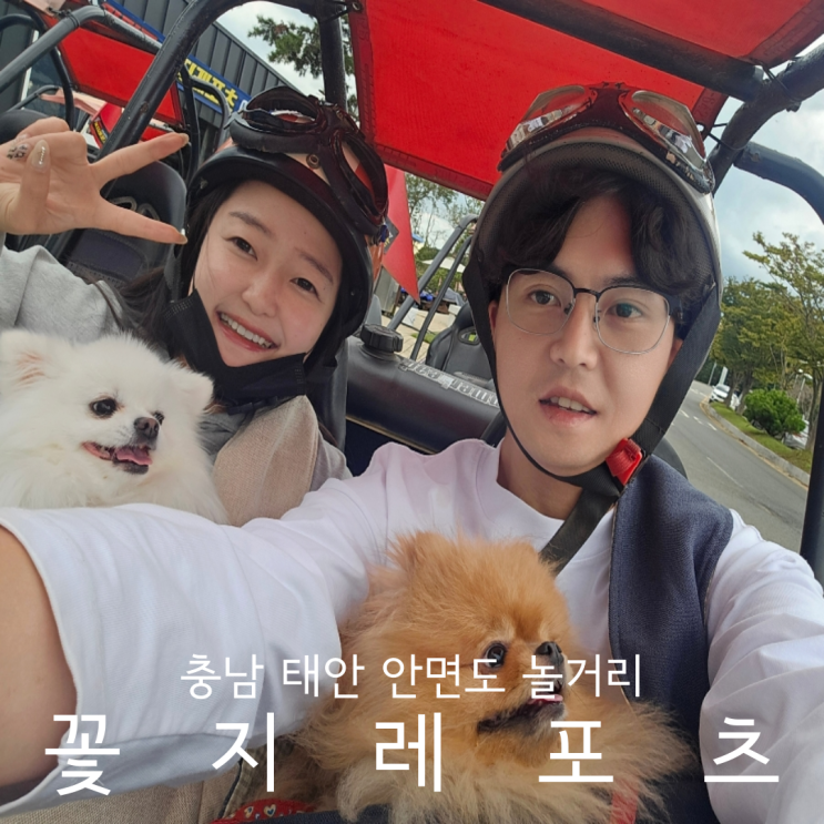  충남 태안 안면도 놀거리 액티비티 추천 꽃지레포츠 애견동반 고카트 atv 후기
