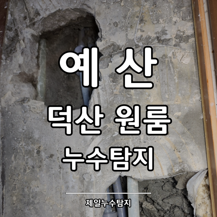  예산누수탐지 덕산 원룸