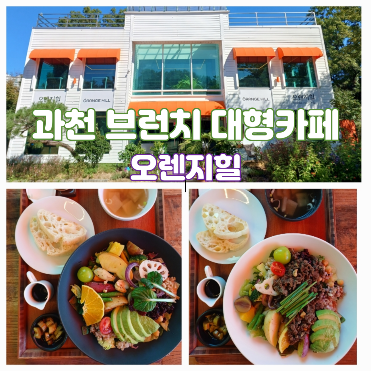 과천 서울대공원 맛집 과천 브런치 대형카페 오렌지힐 과천 서울대공원 맛집 과천 브런치 대형카페 오렌지힐