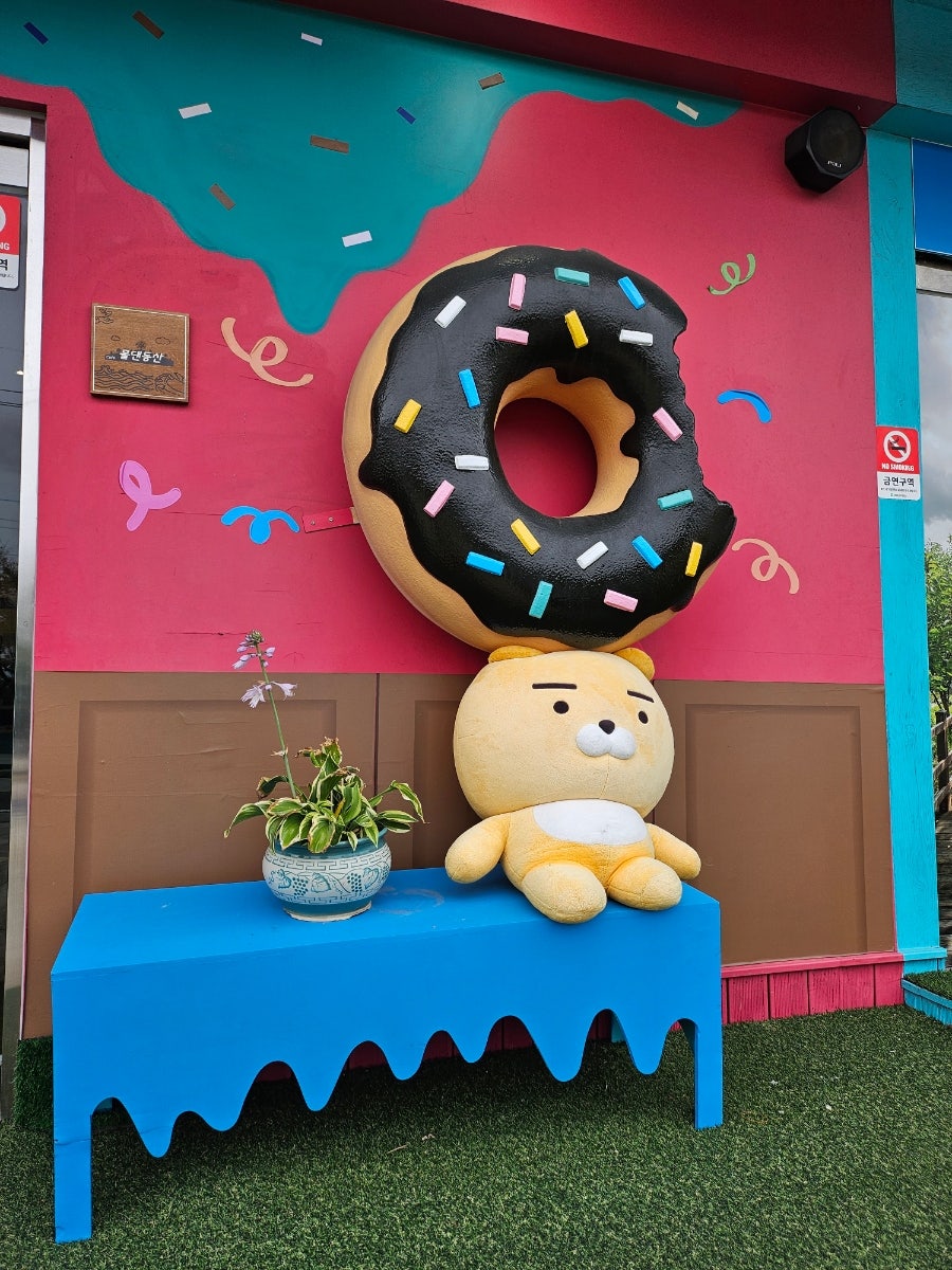 카페물댄동산 사진 3