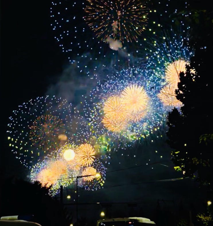  2024 세계불꽃축제 명당 생생 후기:사육신 공원 멸망 ver.