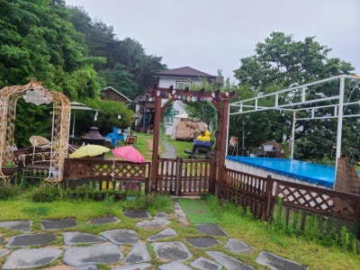 사진 15