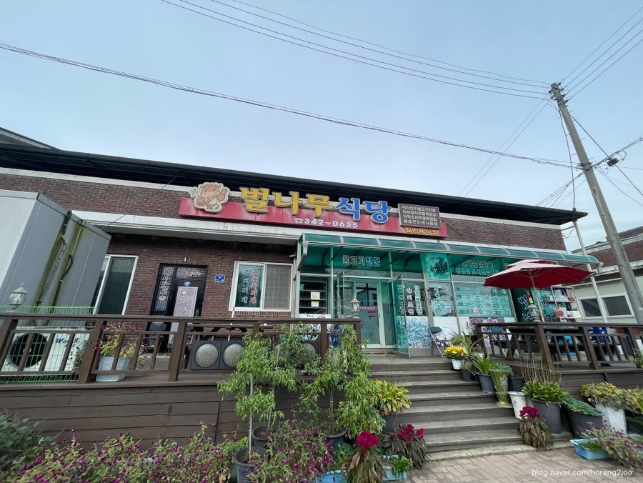 벌나무식당 사진 2