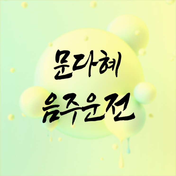 <b>문다혜 음주운전</b> 사건부터 특혜채용 의혹까지 시간별로 정리