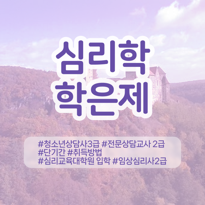  , 심리학사 취득 초단기 준비했던 전략