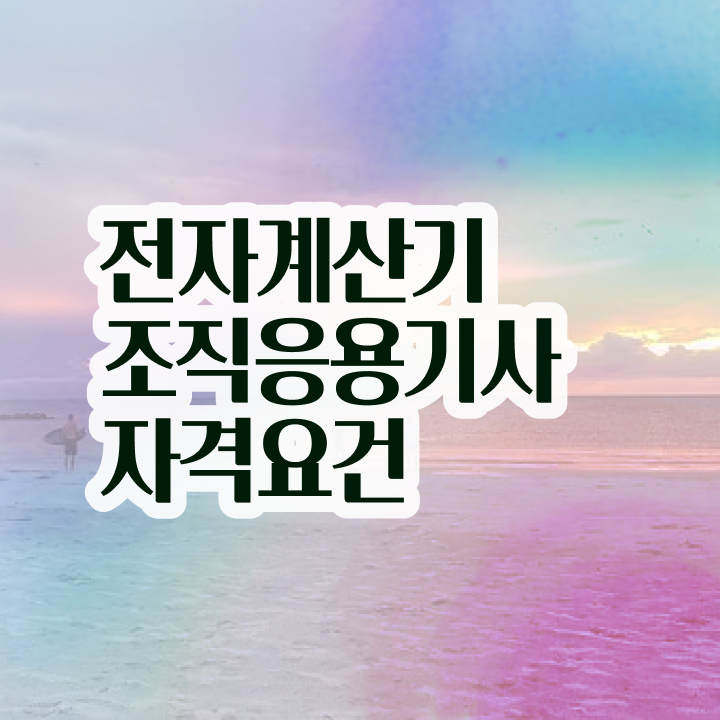  전자계산기조직응용기사 하는일 전자계산기조직응용기사 시험응시자격 온라인으로 쉽고 빠르게 끝낸 과정