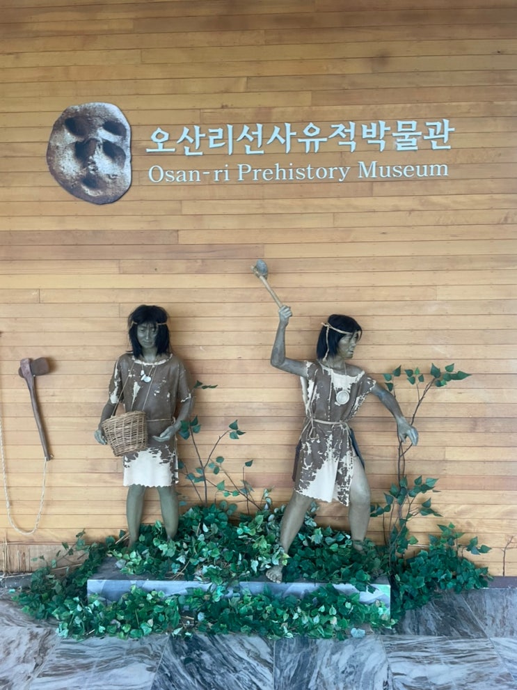  [국공립박물관]양양 오산리선사유적박물관: 비 오는 날 최고의 실내 나들이 장소