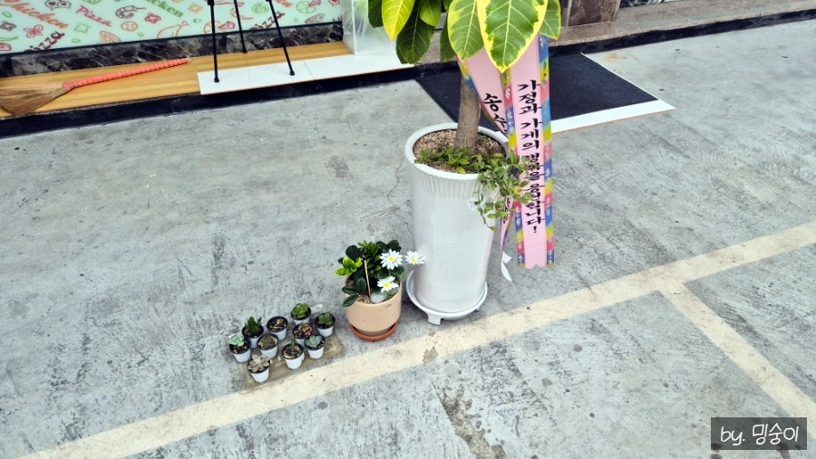 피나치공 전주효자점 사진 4