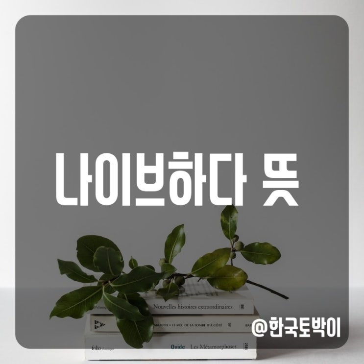  나이브하다 뜻 (naive, 순진하다 영어로)