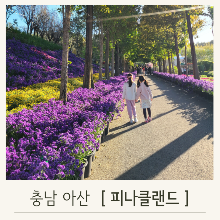  피나클랜드 불꽃축제 기본정보와 아이랑 다녀온 리뷰