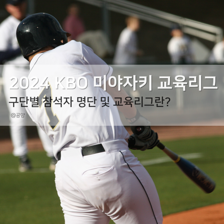 <b>미야자키 교육리그</b> 삼성라이온즈 한화이글스 <b>두산</b>베어스 일정... 