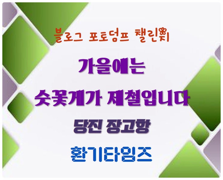 『블로그 포토 덤프』 _10월은 숫꽃게가 제철_당진 장고항_환기타임즈 『블로그 포토 덤프』 _10월은 숫꽃게가 제철_당진 장고항_환기타임즈