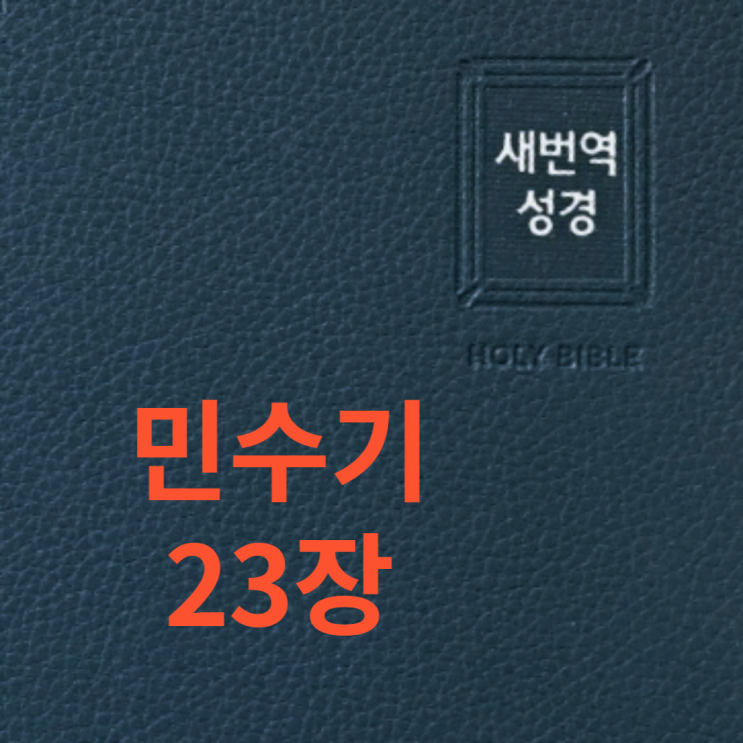 민수기 23장 민수기 23장