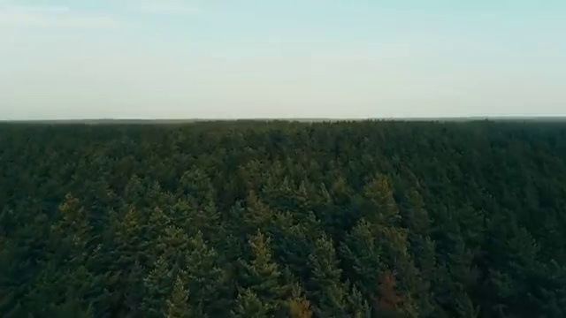  학사학위번호 , 학점은행제 학사학위 관련학과 졸업장 없어도 간편하게 성공한 후기
