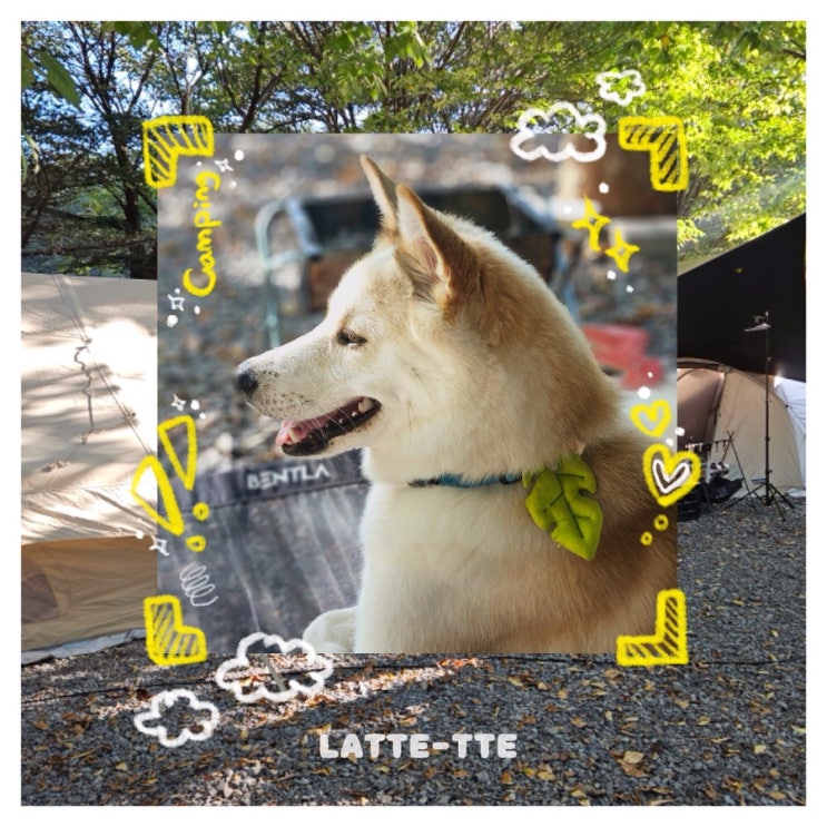  견종, 무게차별 X 오프리쉬 뛰뛰 가능한 케로아인캠프 다녀왔떼!(+먹부림)