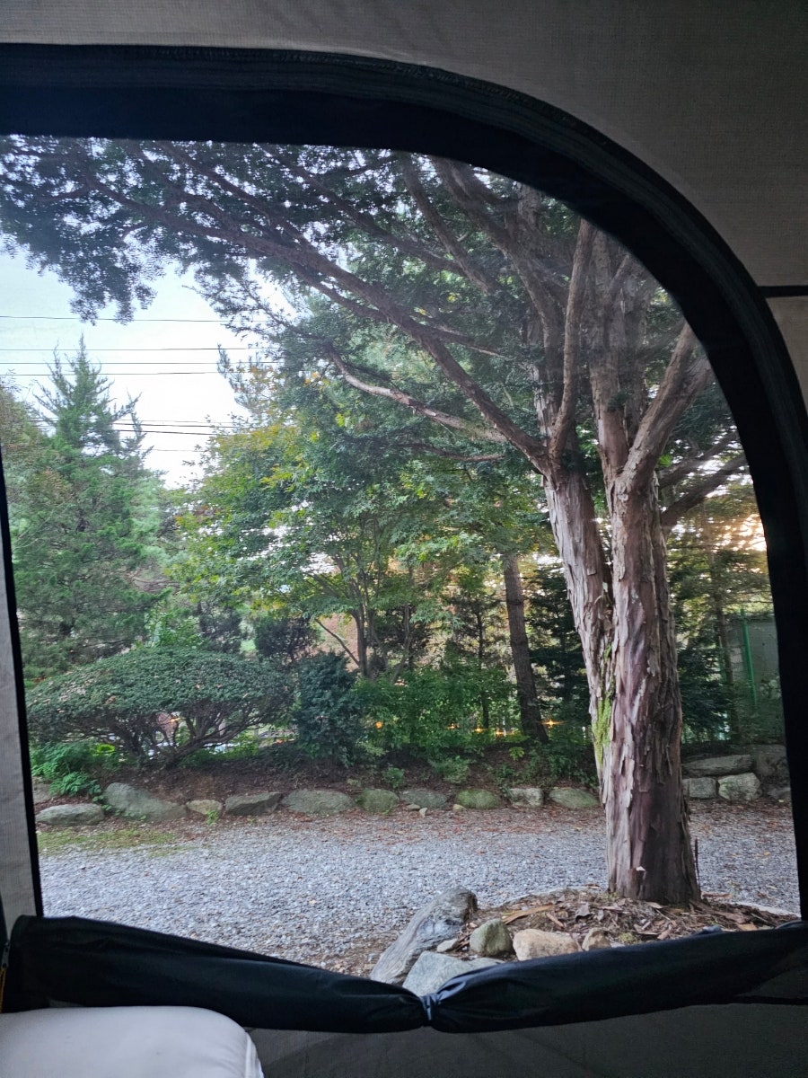 리스캐빈캠핑장 사진 4