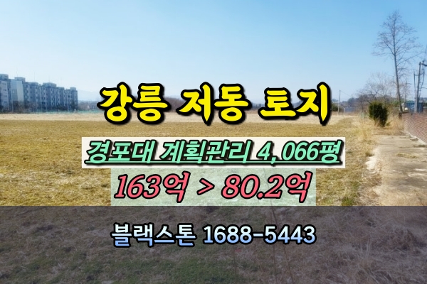  강릉 경포대 토지 경매 저동 4천평 100억 개발부지