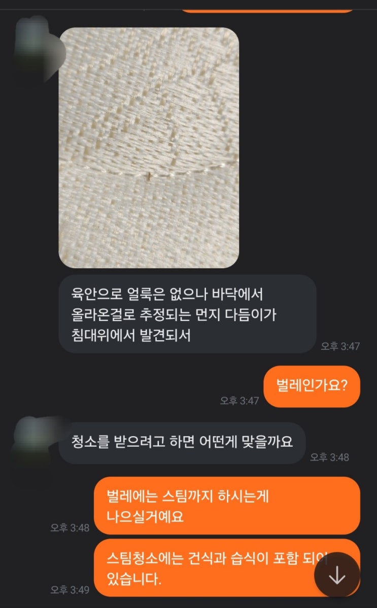  부천 매트리스청소, 침대에서 먼지 다듬이가 나왔어요.. ㅡ,.ㅡ