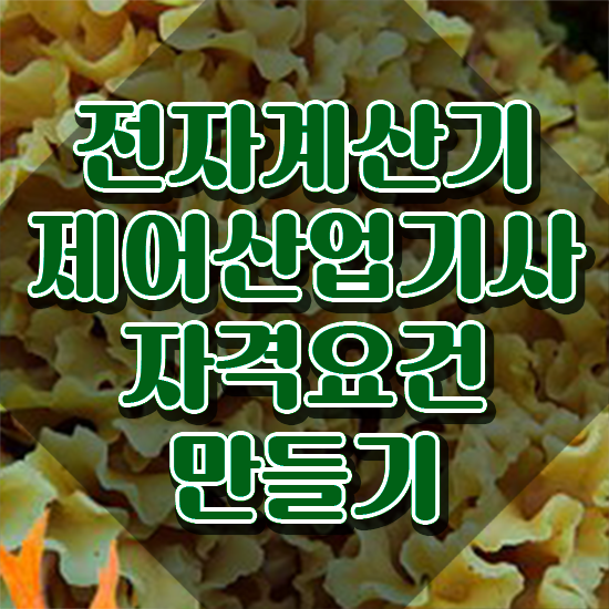  전자계산기제어산업기사 시험응시자격 온라인으로 빠르게 준비한 노하우