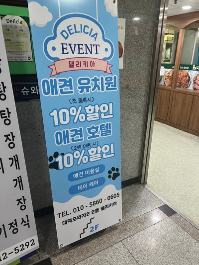 사진 10