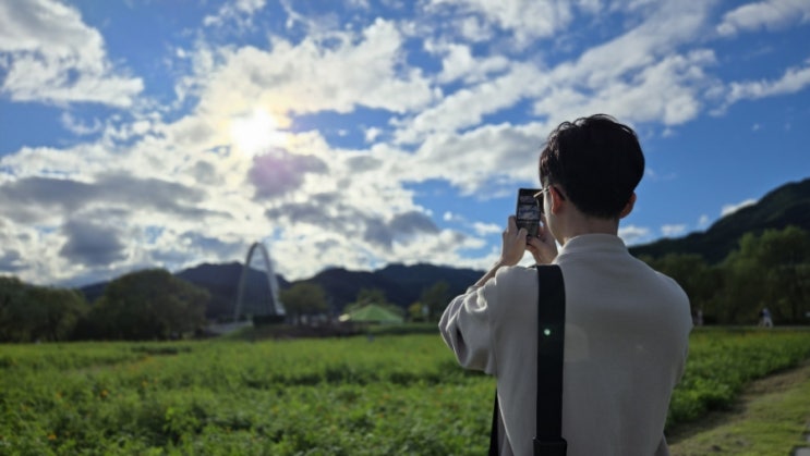  남양주 가볼만한곳 추천 : 물의정원 꼭 가야해 (코스모스 / 주차장 방문 팁)