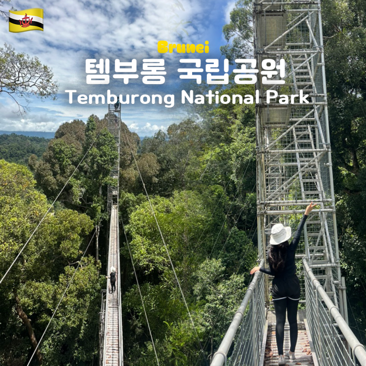  브루나이 정글 울루 템부롱 국립공원 캐노피타워 총정리 (일정, 준비물, 가격, 예약, 결제, 정글의 법칙 촬영지)