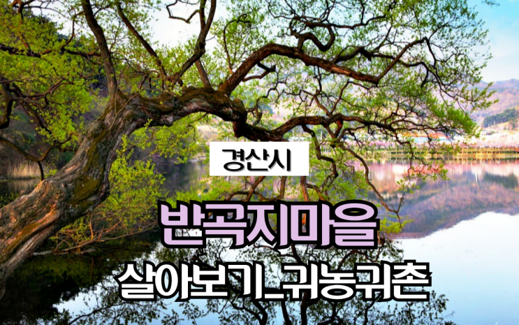  경북 경산_반곡지마을_살아보기_귀농귀촌(5기)