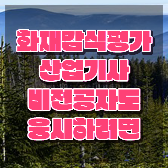  화재감식평가산업기사 2024 화재감식평가산업기사 취득자격 인강만 듣고 간단하게 준비한 후기